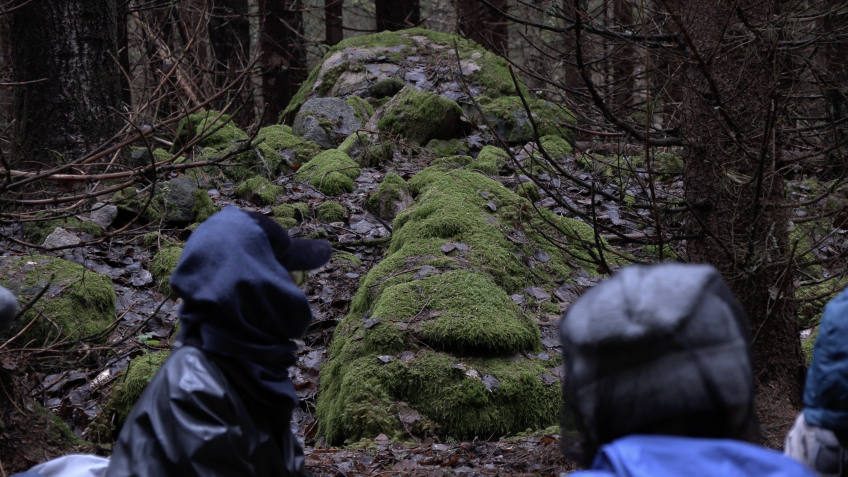 Mossiga stenar reser sig bland träden. I förgrunden ser vi bakhuvudet på två personer i regnkläder. Bilden är tagen i naturreservatet Florarna i norra Uppland där Jenny Sunesson gjorde sin ljudinstallation UNDER.